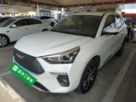 哈弗H6 Coupe 2018款 红标 1.5T 自动两驱超豪型