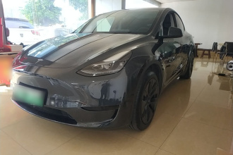 特斯拉 Model Y 2024款 后轮驱动版