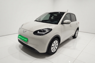 五菱汽车 五菱缤果 2023款 203km 轻享款