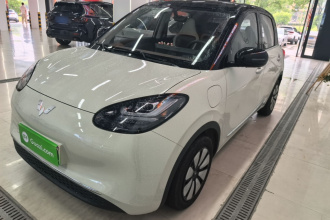 五菱汽车 五菱缤果 2024款 333km 悦享款
