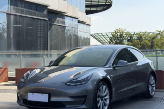 特斯拉 Model 3 2020款 改款 标准续航后驱升级版