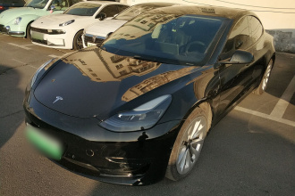 特斯拉 Model 3 2022款 后轮驱动版