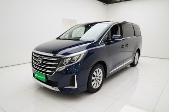 广汽传祺 传祺M8 2020款 领航款 390T 尊享版