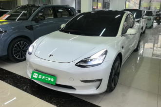 特斯拉 Model 3(进口) 2019款 长续航后驱版
