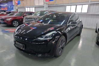 特斯拉 Model 3 2020款 标准续航后驱升级版