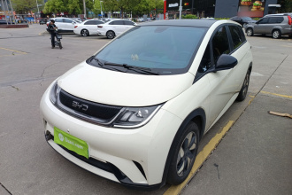 比亚迪 海豚 2024款 荣耀版 420km 时尚版