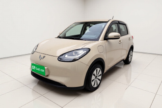 五菱汽车 五菱缤果 2023款 333km 快享款