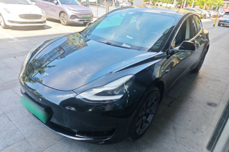 特斯拉 Model 3 2020款 标准续航后驱升级版