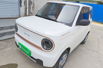吉利银河 2024款 熊猫mini 200km 耐力熊