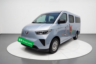 五菱汽车 五菱扬光 2024款 300km 舒适型客车版 75kW
