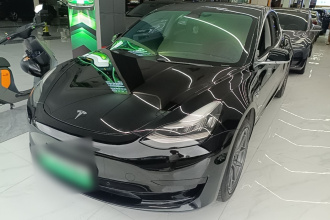 特斯拉 Model 3 2020款 标准续航后驱升级版