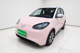 五菱汽车 五菱缤果 2023款 410km 灵犀尊享款