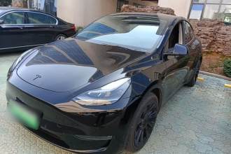 特斯拉 Model Y 2021款 长续航全轮驱动版 3D7