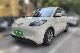 五菱汽车 五菱缤果 2023款 203km 舒享款