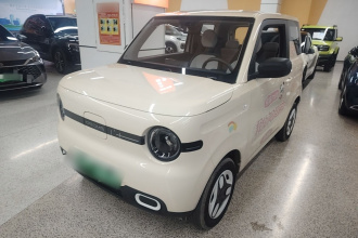 吉利银河 2025款 熊猫mini 210km 元气熊