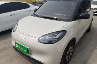 五菱汽车 五菱缤果 2024款 333km 悦享款