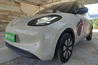 五菱汽车 五菱缤果 2023款 203km 舒享款