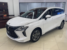 东风风行 风行游艇 2022款 1.5T DCT逐浪版