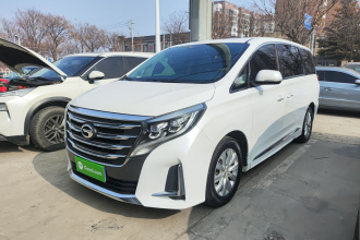 广汽传祺 传祺M8 2020款 领航款 390T 尊享版