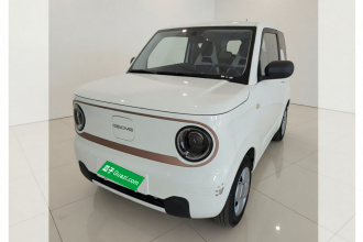 吉利银河 2023款 熊猫mini 120km 超萌熊