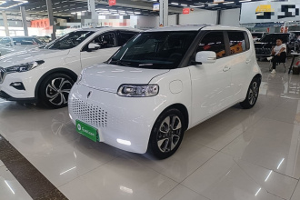 欧拉白猫 2020款 305km 豪华型