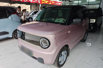 吉利银河 2023款 熊猫mini 200km 耐力熊