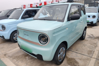 吉利银河 2023款 熊猫mini 200km 耐力熊