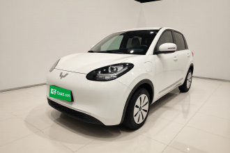 五菱汽车 五菱缤果 2024款 203km 轻享款