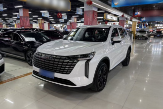 哈弗H6 2024款 1.5T 两驱Max