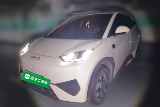 比亚迪 海鸥 2025款 智驾版 305km 自由版
