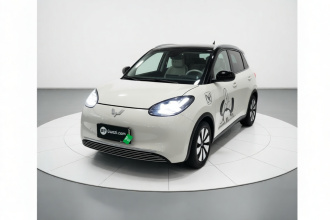 五菱汽车 五菱缤果 2023款 333km 灵犀互联+款