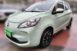 长安欧尚 奔奔E-Star 2021款 国民版 多彩款 磷酸铁锂（31.18kWh）