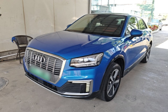 奥迪Q2L e-tron 2019款 Q2L e-tron 纯电智酷型