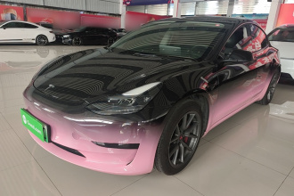 特斯拉 Model 3 2021款 标准续航后驱升级版 3D6