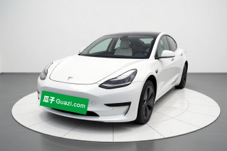 特斯拉 Model 3 2020款 标准续航后驱升级版