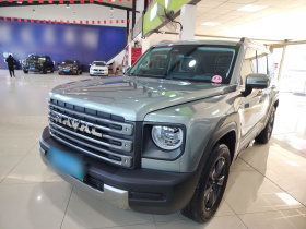 哈弗猛龙新能源 2023款 Hi4 102 探索版