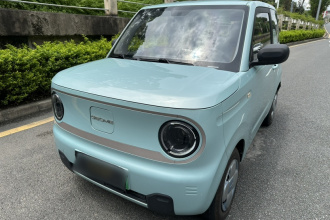 吉利银河 2023款 熊猫mini 200km 耐力熊