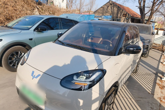 五菱汽车 五菱缤果 2024款 333km 悦享款