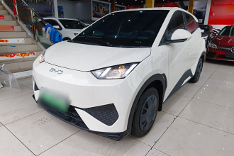 比亚迪 海鸥 2025款 智驾版 305km 活力版