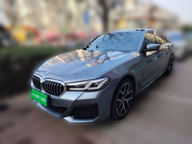 宝马5系(进口) 2021款 530i M运动套装