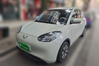 五菱汽车 五菱缤果 2023款 333km 悦享款