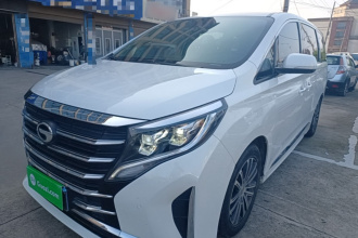 广汽传祺 传祺M8 2021款 领秀系列 390T 尊贵版
