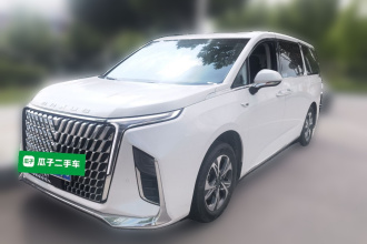 上汽大通MAXUS 大通G90 2025款 2.0T 星辉七座版