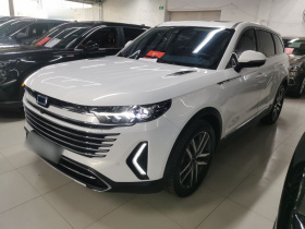 奔腾T99 2023款 2.0T 自动尊贵型