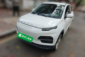 大运 悦虎 2022款 30.66kWh 两驱标准版