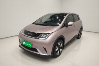 比亚迪 海豚 2021款 401km 骑士版