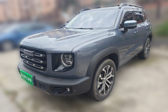 哈弗大狗 2022款 1.5T DCT两驱拉布拉多版