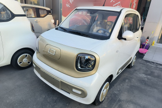 奔腾小马 2025款 222km 闪电马