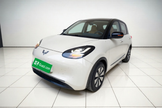 五菱汽车 五菱缤果 2023款 203km 舒享款