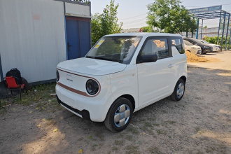 吉利银河 2024款 熊猫mini 200km 耐力熊